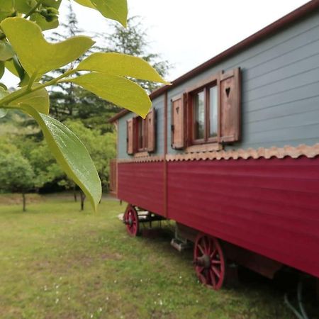 I Tre Abeti - Holiday House Vezzano Ligure Εξωτερικό φωτογραφία